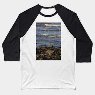 Oyster Catchers Baseball T-Shirt